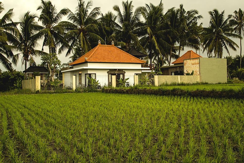 Ubud Lestari Villa Exteriér fotografie